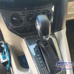 Jacksonville Hydro Dipped Focus