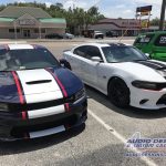 Dodge Charger Graphics