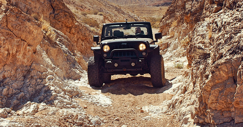 Off-road Recreational and Commercial Vehicle Camera Systems